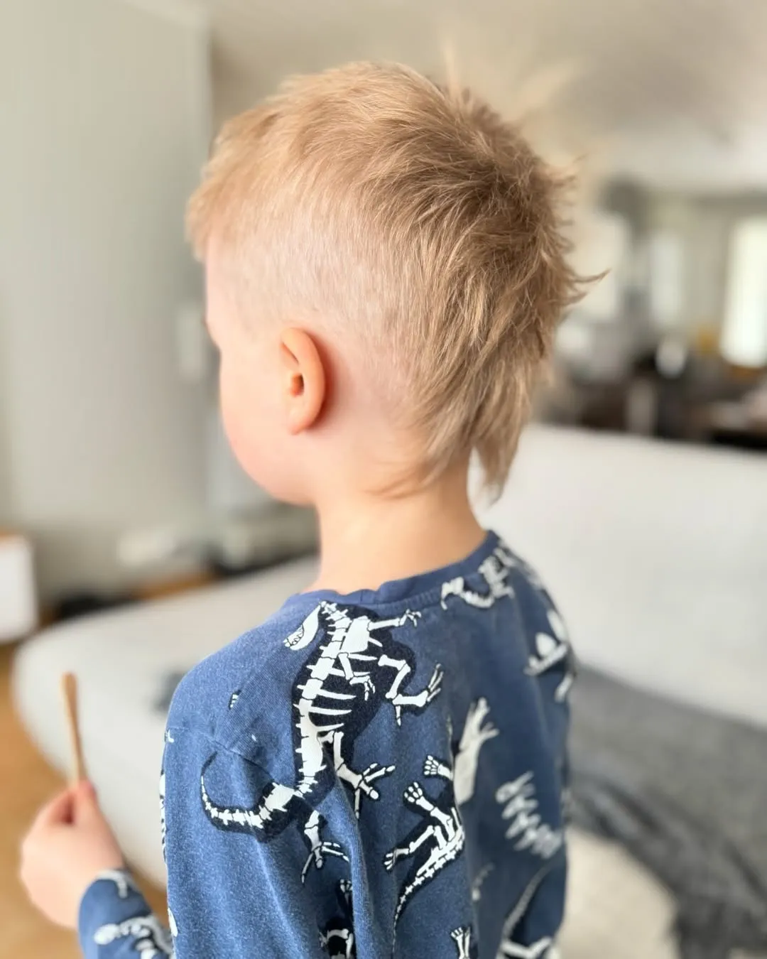 Pieni asiakas uudella kampauksella